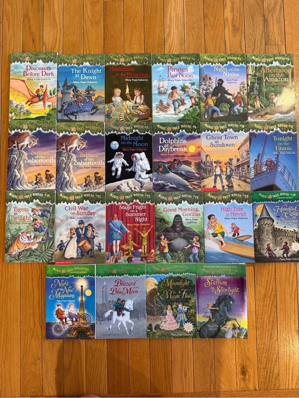 Magic Tree House Lot of 19 Books Children's Adventure Covers Soft Chapter Books